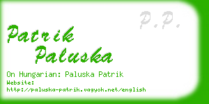 patrik paluska business card